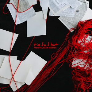 tin foil hat (MOONLGHT Remix)
