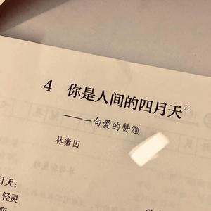 做 條 永 远 烧 不 着 的 废 柴