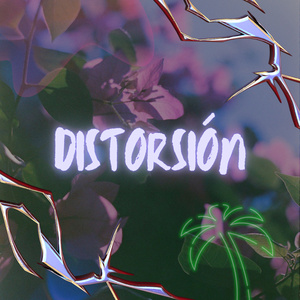 DISTORSIÓN