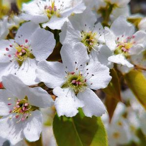 坐在壁炉旁边看书吃点心