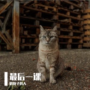 六毛钱的避风港1.mp3