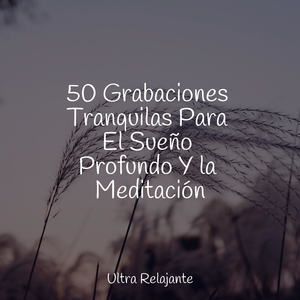 Calmándose