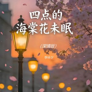 四点的海棠花未眠（深情版）