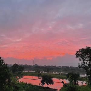 楼顶上的小斑鸠（翻自队长）