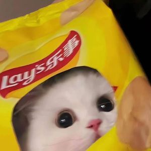 《奇妙能力歌》