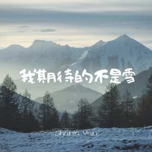 我期待的不是雪