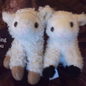 "依靠" sadpiano x samplevoval x 痛苦旋律伴奏