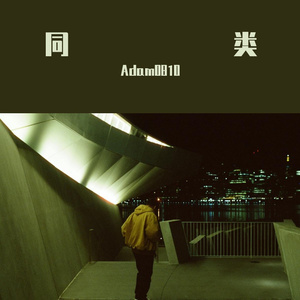 同类-（翻自王巨星）