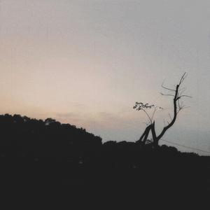 向世间跌落 伴奏