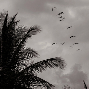 마음을 달래주는 노래 (Ver.2)