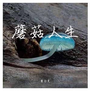 蘑菇人生