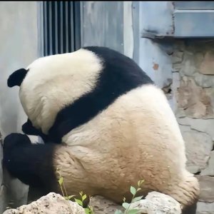 骨惠