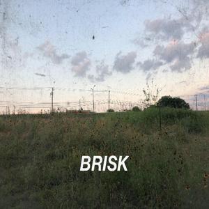 Brisk (feat. Nathan Thompson)