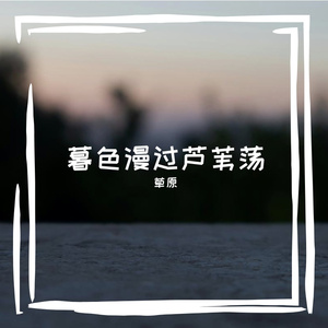 暮色漫过芦苇荡