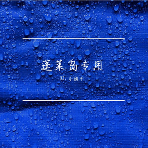 抖音热播山西摇（瑶格格|DJ.小姨子 remix）