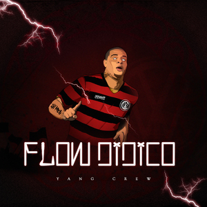 Flow Didico