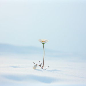 氷の空に咲く言葉