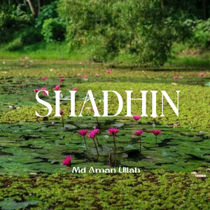 Shadhin