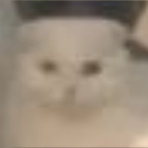 happy birthday Giselle