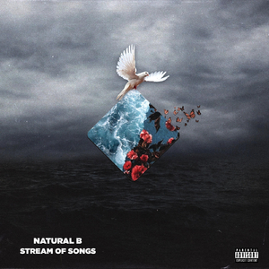 Van Dijk (Coming Back)