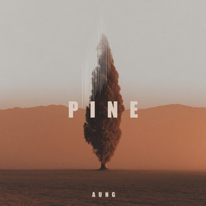 Pine