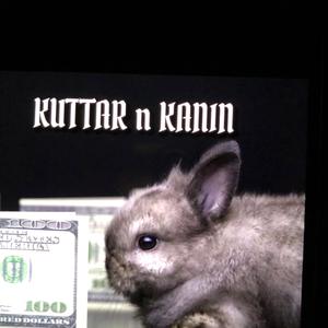 Kuttar en kanin