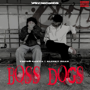 BOSS DOGS