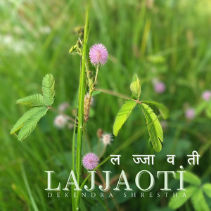 Lajjaoti