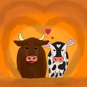 כורכום (באלי לאהוב אותך)