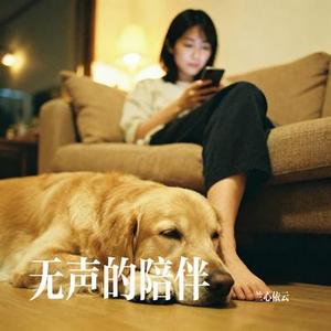 无声的陪伴