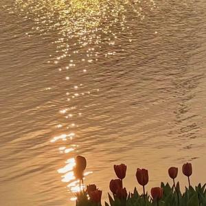 我好喜欢你（翻自丁芙妮）