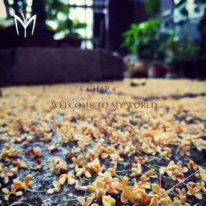 Troye Sivan-Revelation （ambient Bootleg）（D.C. Remix）