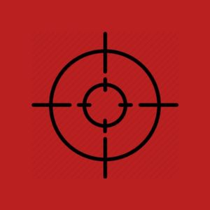 In The Crosshair