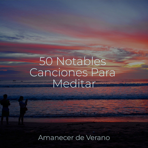 Lágrimas silenciosas junto a la orilla