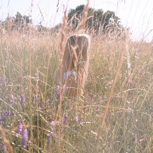 Where The Moon Smiles