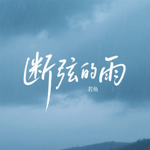 断弦的雨