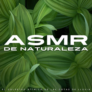 Hormigueos Rítmicos De Lluvia