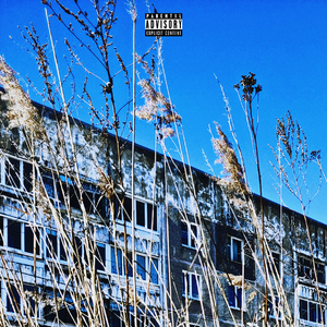 Джоинт (feat. Deep Ku$h)