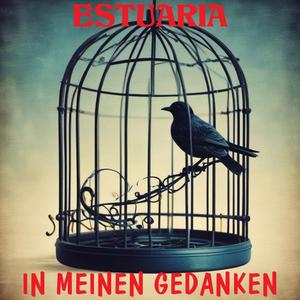 Spiegelscherben im Mondschein