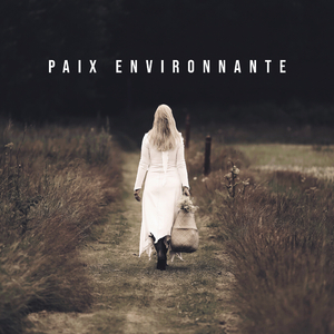 Construire des ponts