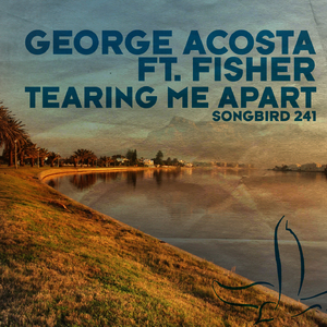 Tearing Me Apart (Club Radio Edit)