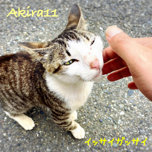 イッサイガッサイ