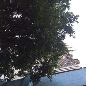 恶梦Yk-你的说唱男友（remix）（JieJ remix）