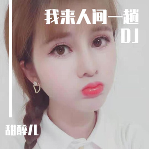 我来人间一趟DJ