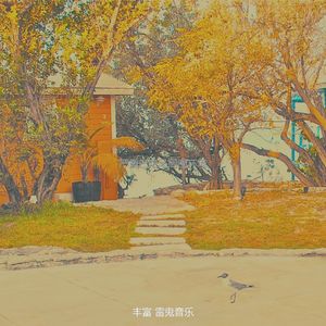 一尘不染开曼群岛印象数