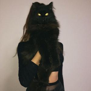 wifi (feat. flipphoneshwty & 4ME)