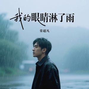 我的眼睛淋了雨