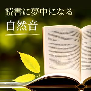 夜の読書