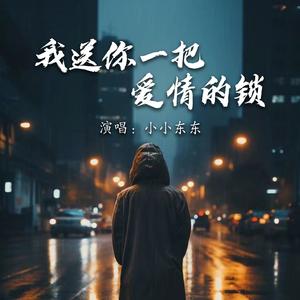 我送你一把爱情的锁