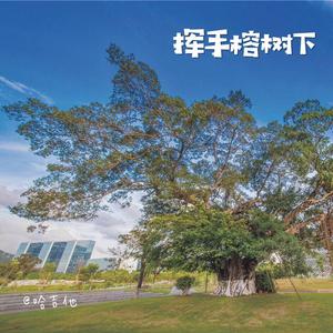 挥手榕树下
